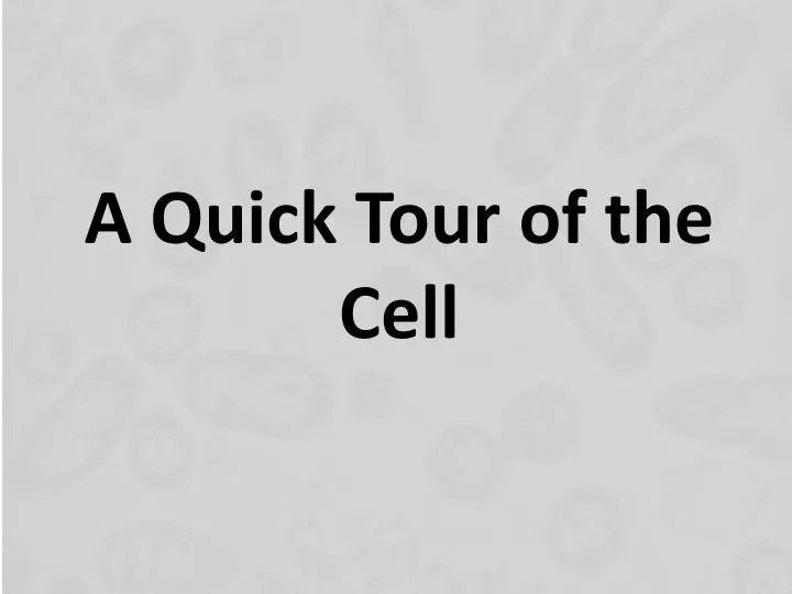 a quick tour of the cell