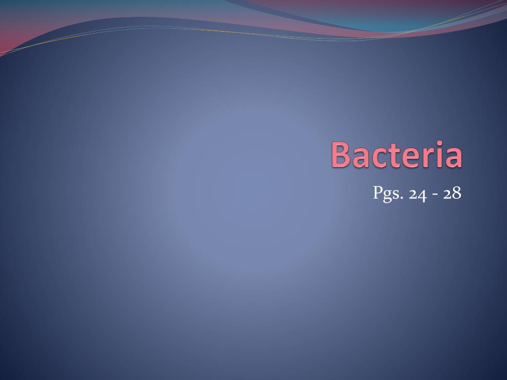 PPT - Bacteria PowerPoint Presentation, free download - ID:2016203