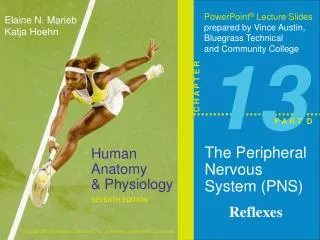 The Peripheral Nervous System (PNS ) Reflexes