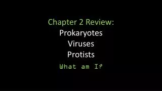 chapter 2 review prokaryotes viruses protists