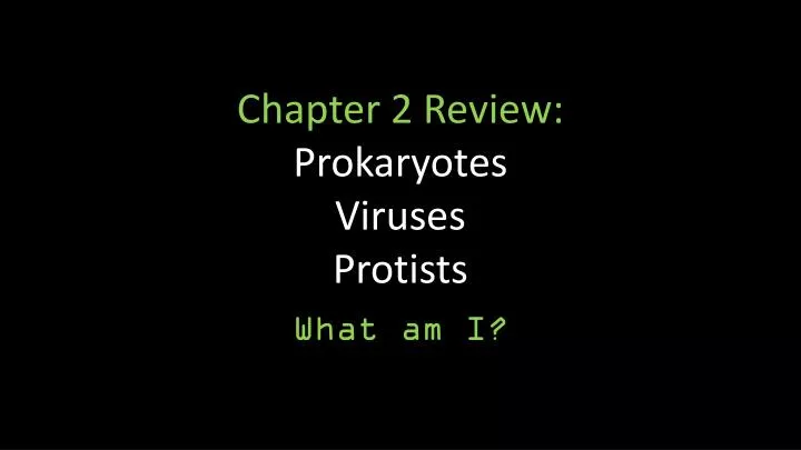 chapter 2 review prokaryotes viruses protists