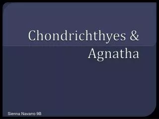 Chondrichthyes &amp; Agnatha
