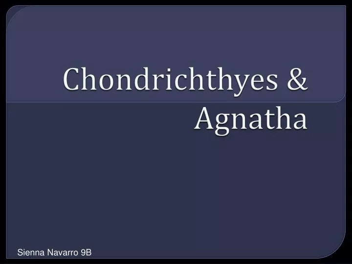 chondrichthyes agnatha