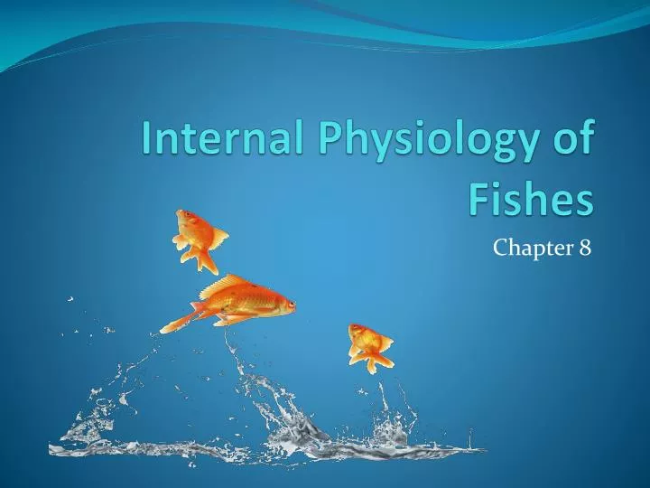 internal physiology of fishes