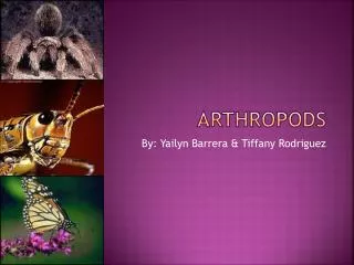 arthropods