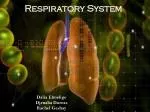 Respiratory System - slide 1