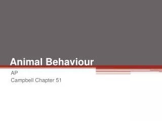 Animal Behaviour