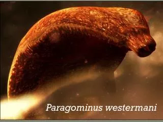 Paragonimus westermani