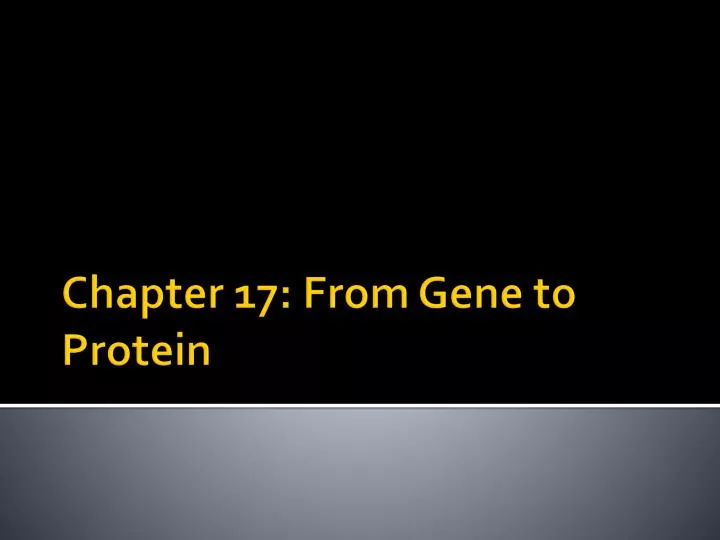 chapter 17 from gene to protein