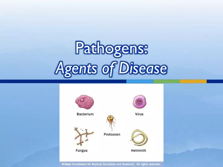 pathogens agents of disease