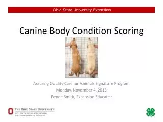 Canine Body Condition Scoring