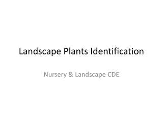 Landscape Plants Identification