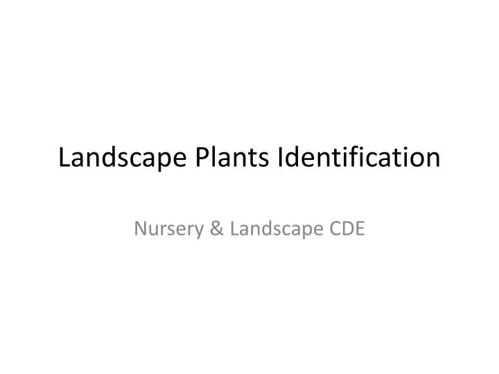 landscape plants identification