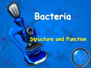 Bacteria