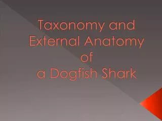 Taxonomy and External Anatomy of a Dogfish Shark