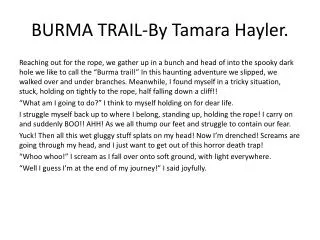 BURMA TRAIL-By Tamara Hayler.