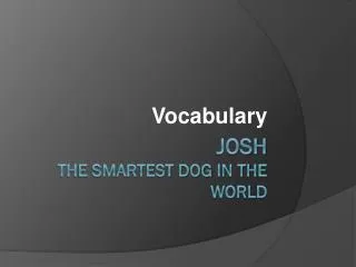 Josh The Smartest Dog in the World
