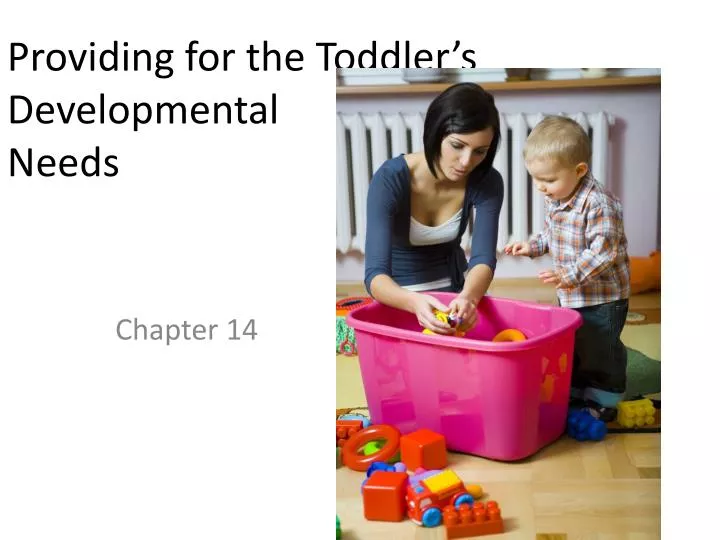 providing for the toddler s developmental needs