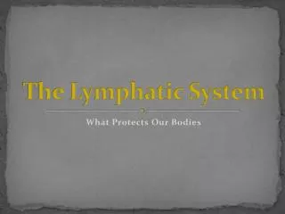 the lymphatic system