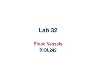 Lab 32