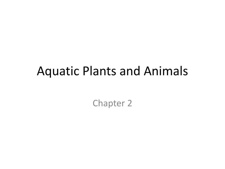 aquatic plants and animals