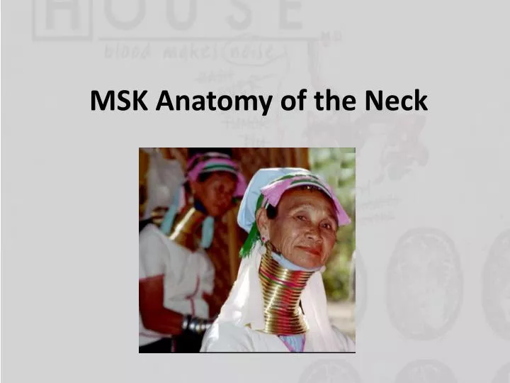 msk anatomy of the neck
