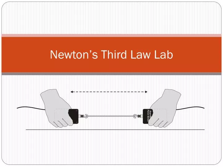 newton s third law lab