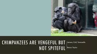 Chimpanzees are vengeful but not spiteful