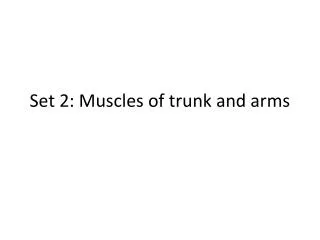 Set 2: Muscles of trunk and arms