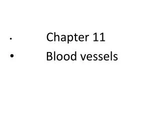 Chapter 11 Blood vessels
