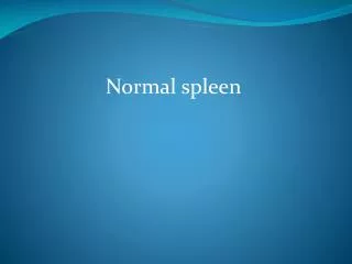 Normal spleen