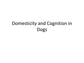 Domesticity and Cognition in Dogs