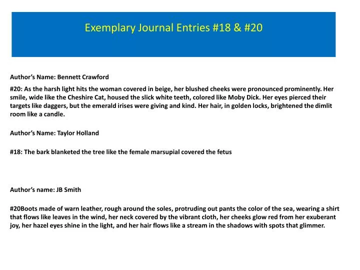 exemplary journal entries 18 20