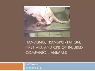 Handling , Transportation, First Aid, and CPR of Injured Companion Animals