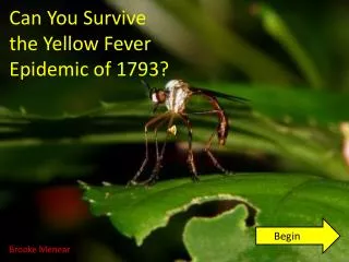 Can You Survive the Yellow Fever Epidemic of 1793?