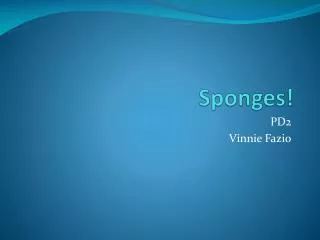 Sponges!