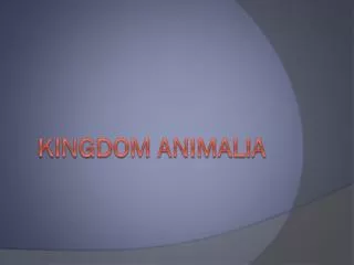KINGDOM ANIMALIA