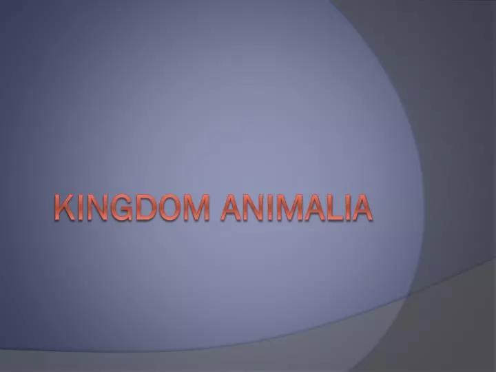 kingdom animalia