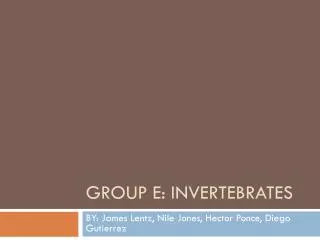 Group E: Invertebrates