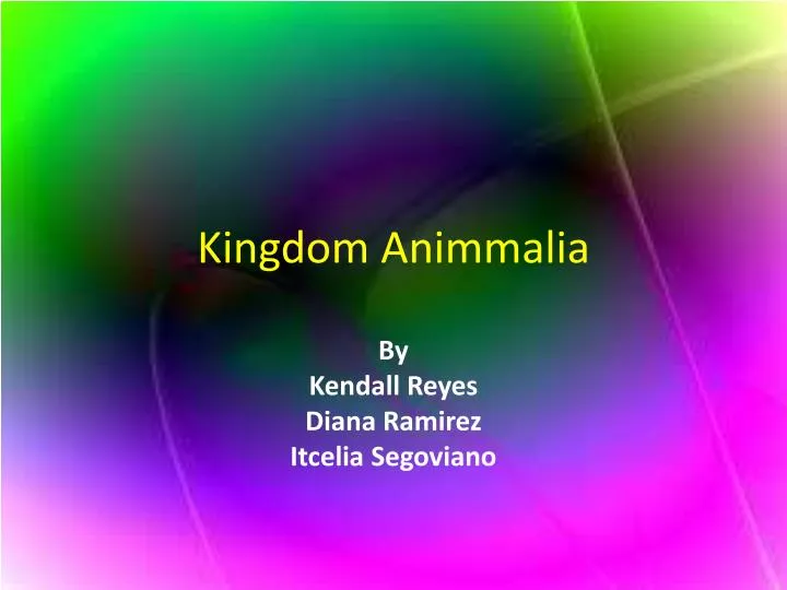 kingdom animmalia