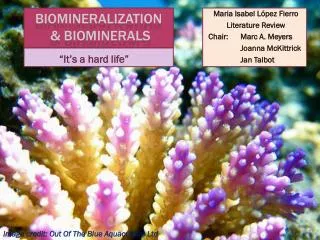 Biomineralization &amp; Biominerals