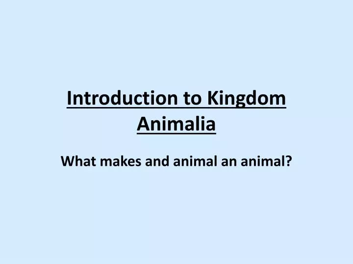 introduction to kingdom animalia