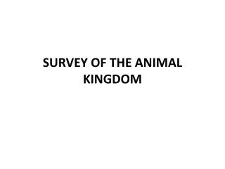 SURVEY OF THE ANIMAL KINGDOM