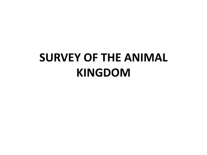 survey of the animal kingdom