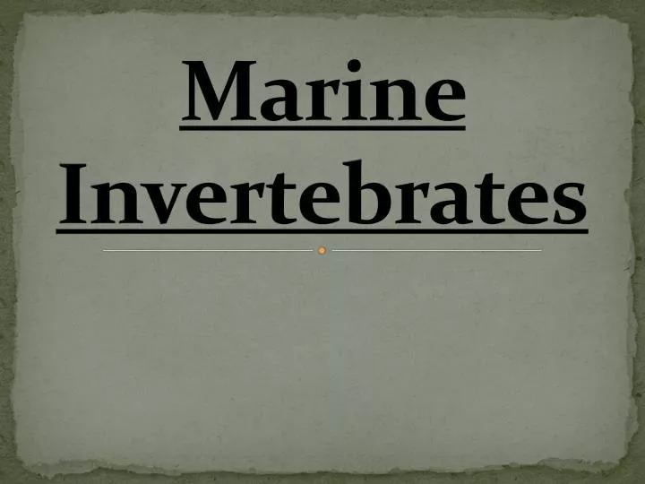 marine invertebrates