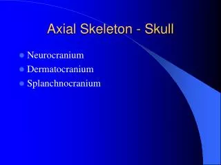 Axial Skeleton - Skull