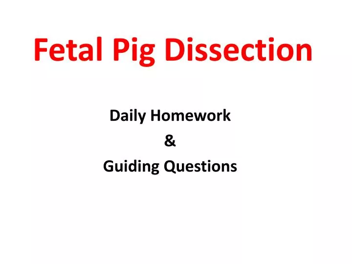 fetal pig dissection