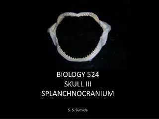BIOLOGY 524 SKULL III SPLANCHNOCRANIUM S. S. Sumida