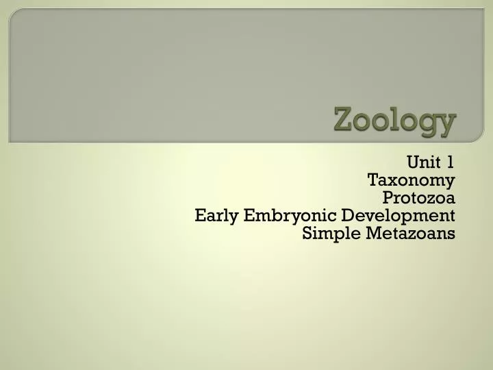 zoology