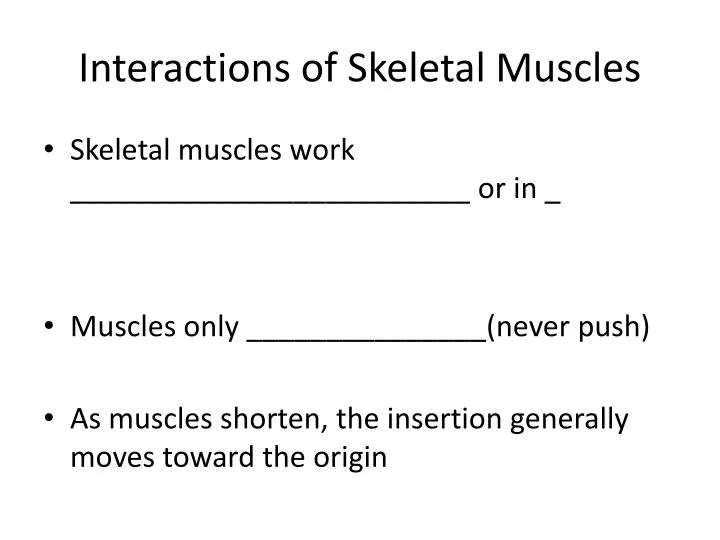 interactions of skeletal muscles